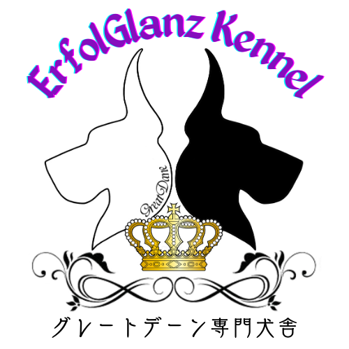 グレートデン専門犬舎【ErfolGlanz Kennel】エアフォルグランツケンネル